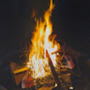 Meet your Posher, Toni